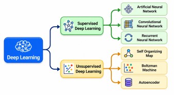 Flowchart showing how to choose deep learning books based on beginner, intermediate, theory, or project-focused learning paths.