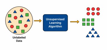 Flowchart showing how to choose deep learning books based on beginner, intermediate, theory, or project-focused learning paths.
