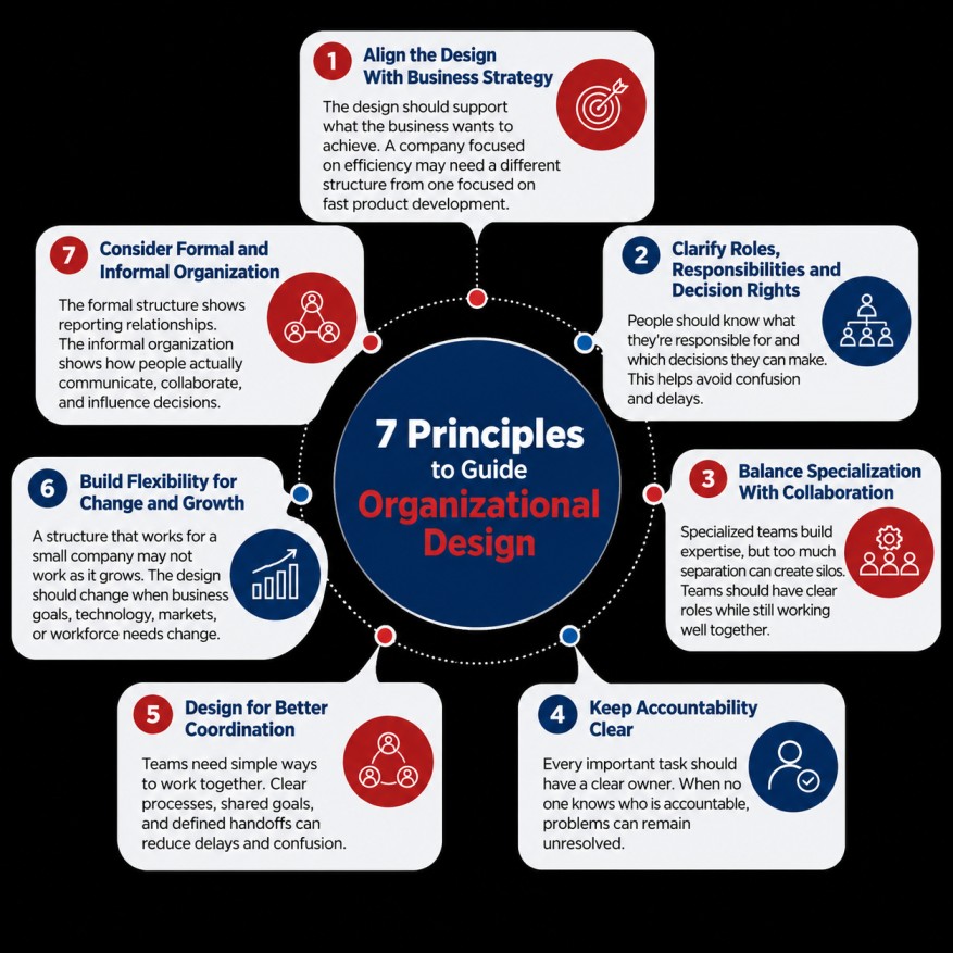 Infographic showing seven principles of organizational design, including business strategy, clear roles, collaboration, accountability, coordination, flexibility, and formal and informal organization.