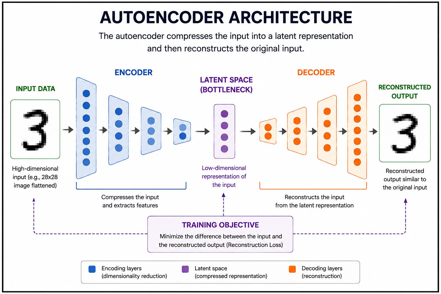 Autoencoder architecture diagram showing how input data is compressed through an encoder into a low-dimensional latent space (bottleneck) and then reconstructed by a decoder. The infographic illustrates dimensionality reduction, feature extraction, latent