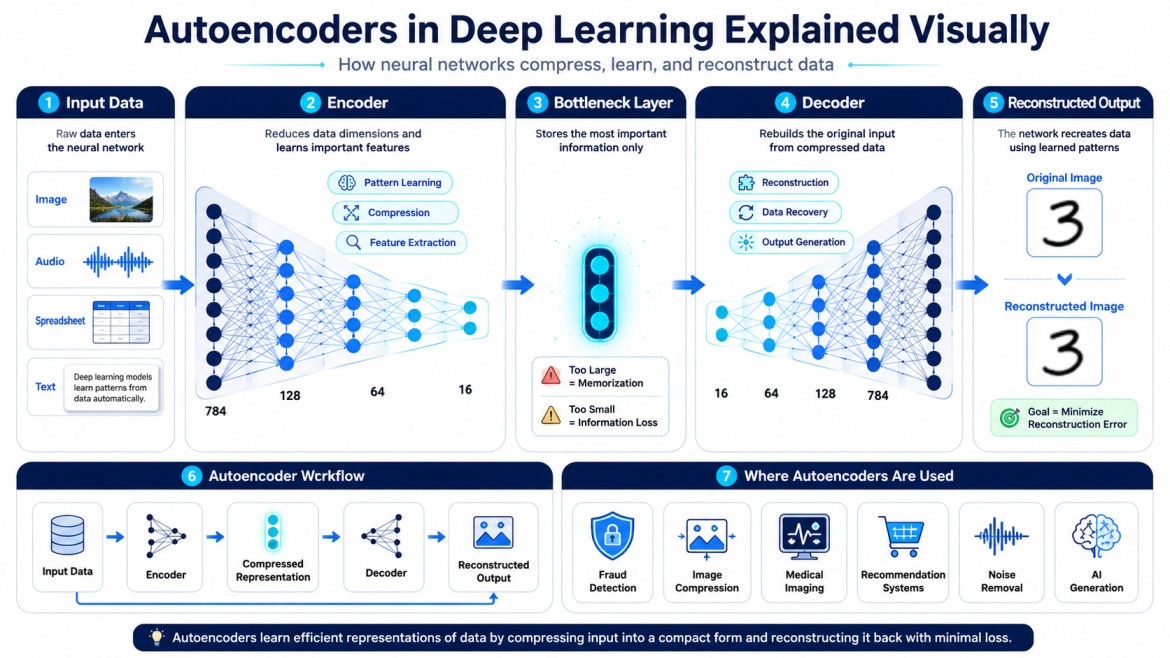 Infographic explaining how autoencoders in deep learning work using encoder, bottleneck, decoder, and reconstructed output workflow.