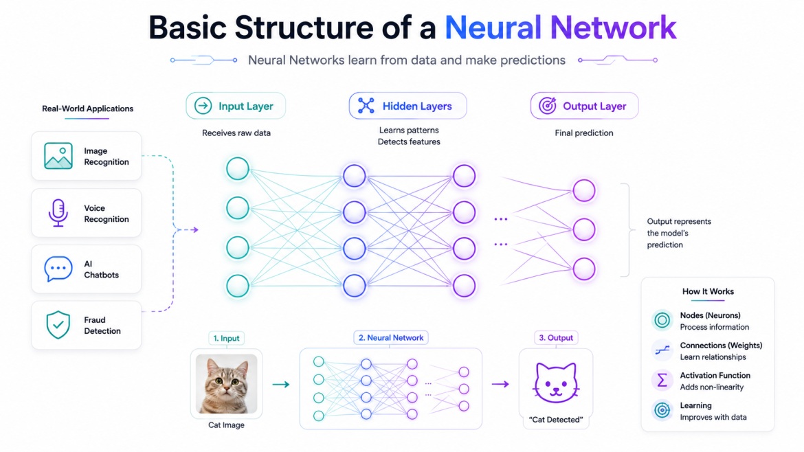 Infographic showing the basic structure of a neural network with input, hidden, and output layers connected by glowing neuron nodes. Includes AI application examples and a simple cat image classification workflow on a clean white background.