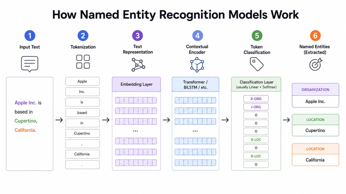 Infographic showing how Named Entity Recognition (NER) models process text through tokenization, embeddings, contextual encoding, and classification to extract entities like organizations and locations.