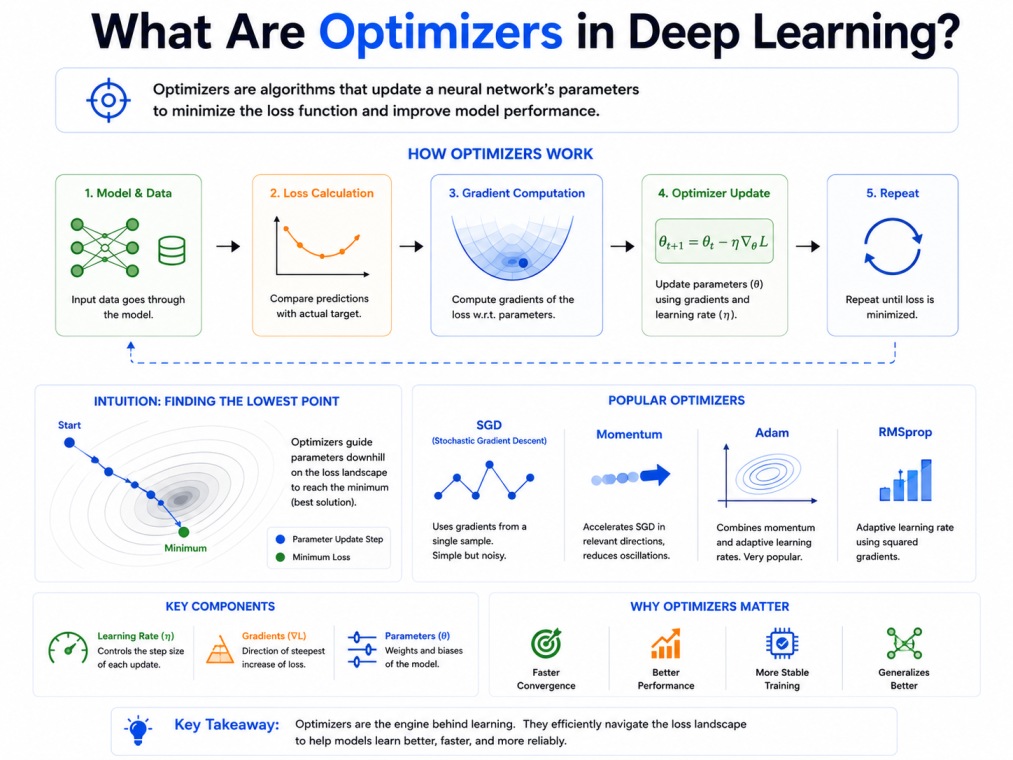 4:3 tech infographic explaining optimizers in deep learning on a clean white background. The design visualizes the optimization workflow from model input and loss calculation to gradient computation and parameter updates. Sections compare SGD, Momentum, A