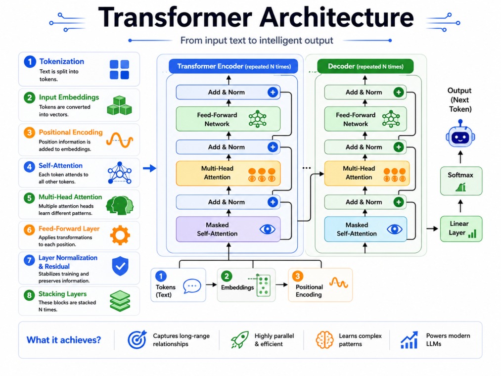4:3 tech infographic explaining transformer architecture on a clean white background. The design visualizes tokenization, input embeddings, positional encoding, self-attention, multi-head attention, feed-forward layers, normalization, and stacked encoder-