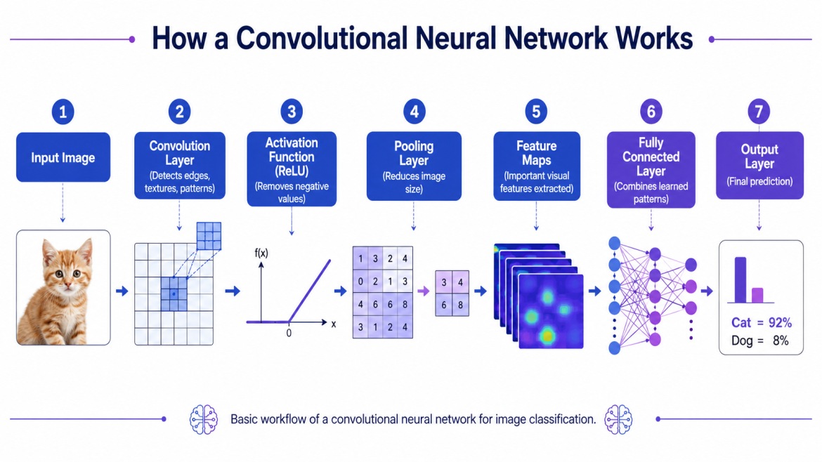 Step-by-step workflow of a convolutional neural network showing convolution, pooling, feature extraction, and output prediction