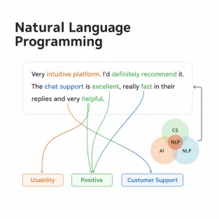 Infographic explaining Named Entity Recognition (NER) in natural language processing. The design shows how an NLP model identifies entities like people, organizations, locations, and dates from input text.