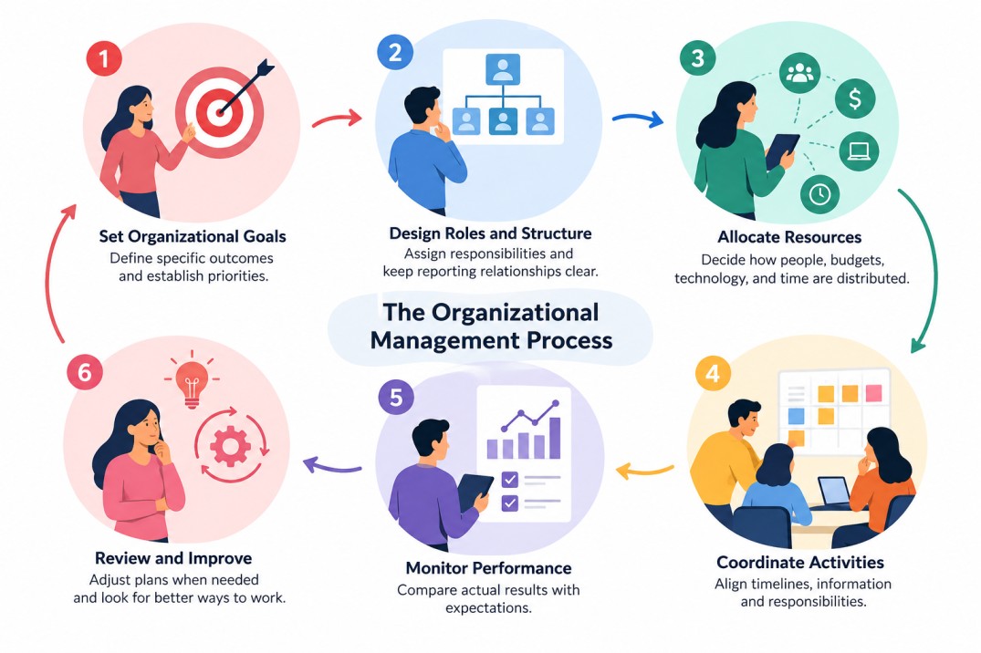 Organizational management process showing six steps: setting goals, designing roles, allocating resources, coordinating activities, monitoring performance, and reviewing and improving.