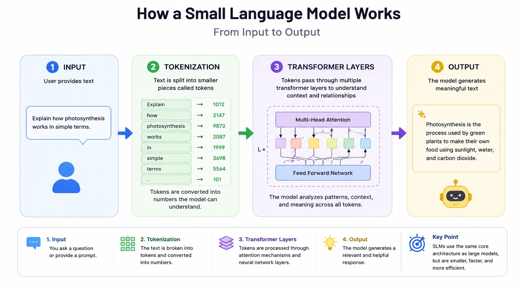 Workflow diagram showing how a Small Language Model (SLM) works, illustrating the process from user input to tokenization, transformer layers, and final output, with visual examples of text processing and response generation.