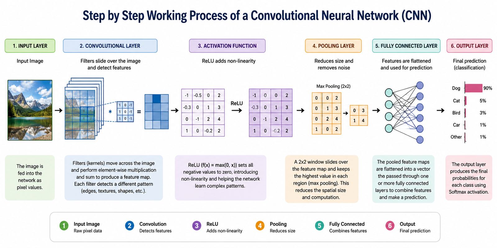 Step by step working process of a convolutional neural network