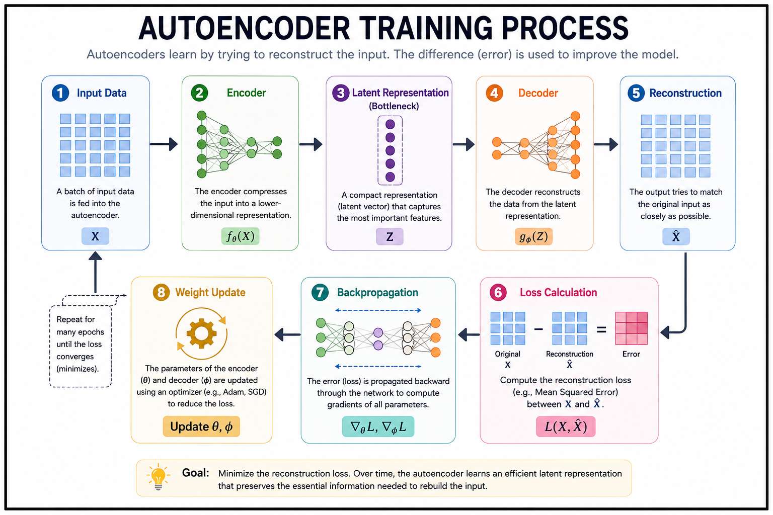 Infographic showing the autoencoder training process in deep learning. The diagram illustrates eight steps: Input Data → Encoder → Latent Representation (Bottleneck) → Decoder → Reconstruction → Loss Calculation → Backpropagation → Weight Update. Arrows s
