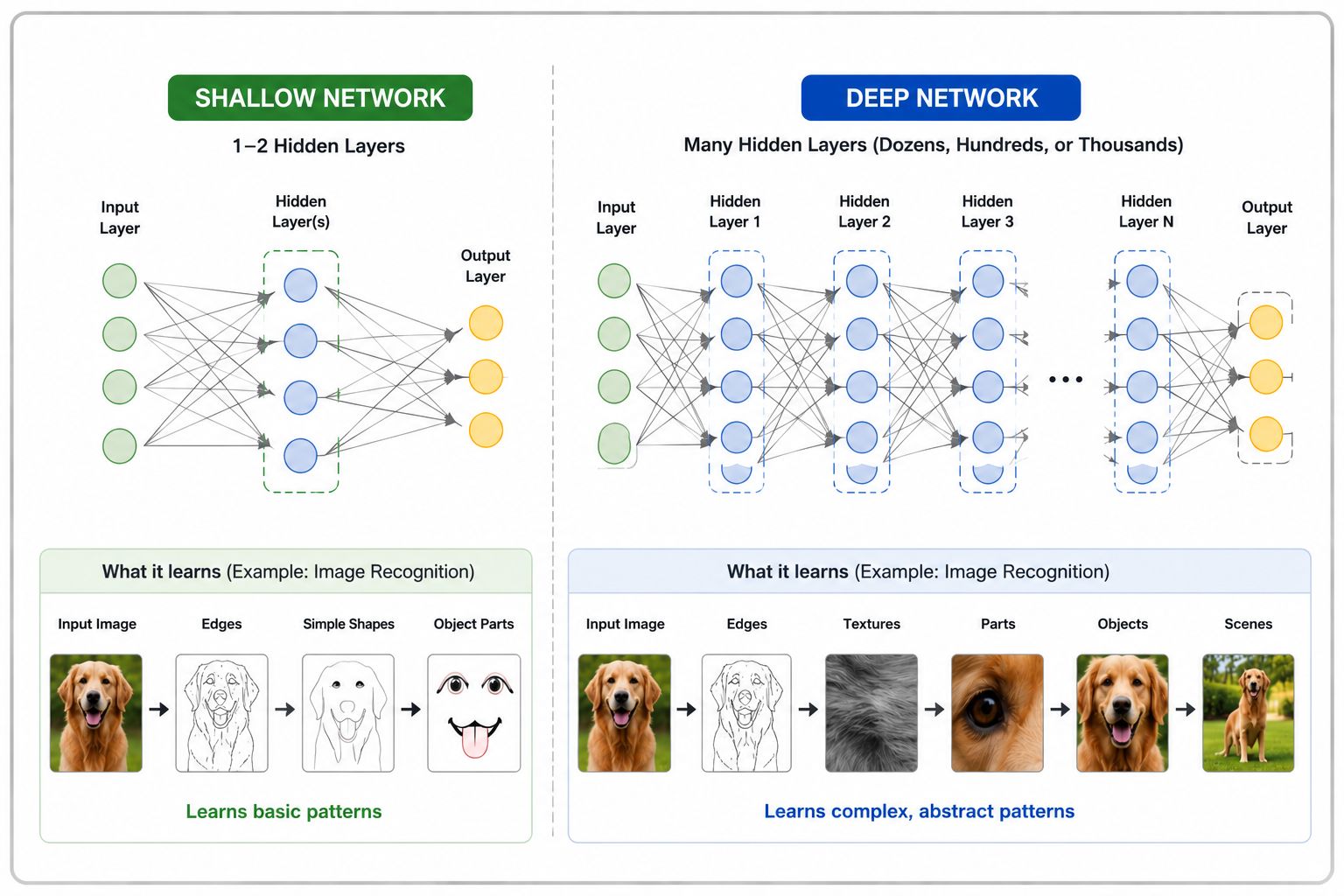 Comparison of a shallow neural network and a deep neural network showing the number of hidden layers and how deeper networks progressively learn features from edges and simple shapes to object parts, complete objects, and complex scenes, illustrated with