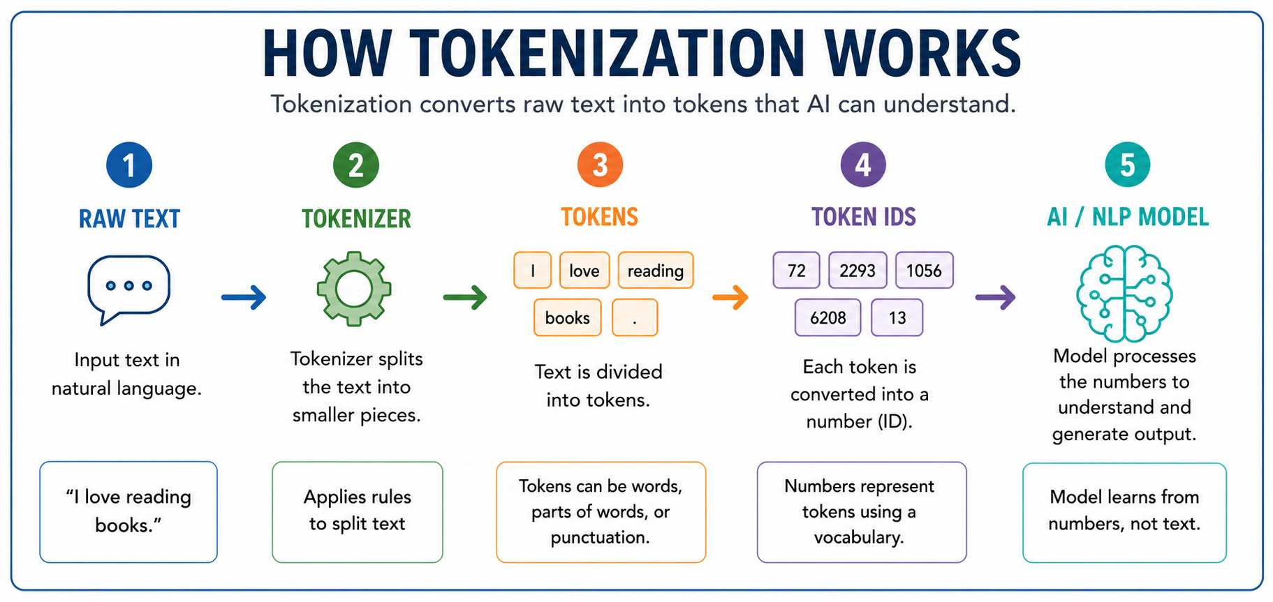 Horizontal infographic showing how tokenization works in NLP, with a step-by-step flow from raw text to tokenizer, tokens, token IDs, and AI model processing, using icons, arrows, and simple examples.