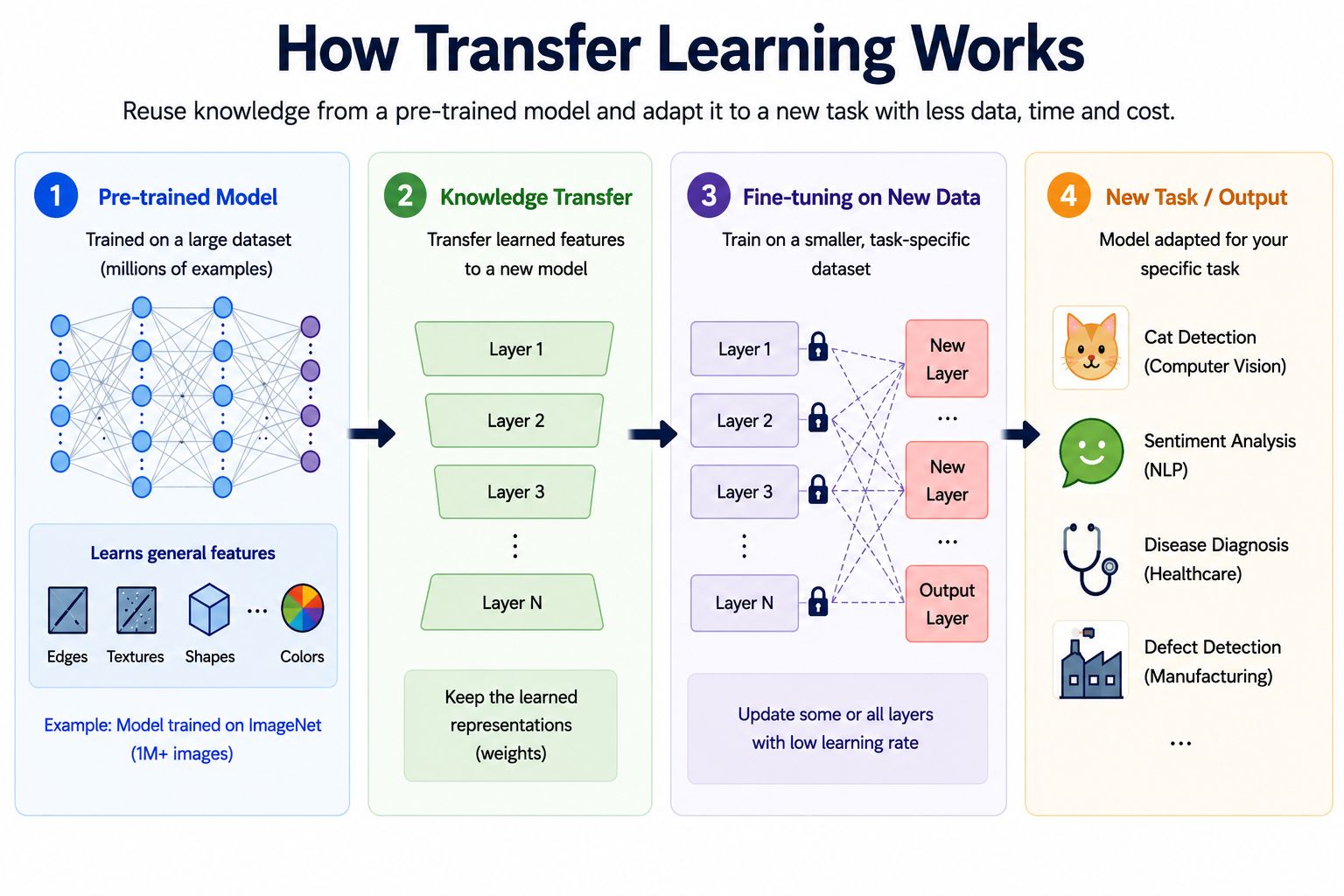 Infographic explaining how transfer learning works using a pre-trained AI model. The diagram shows four stages: pre-trained model, knowledge transfer, fine-tuning on new data, and new task output with examples like cat detection, sentiment analysis, disea