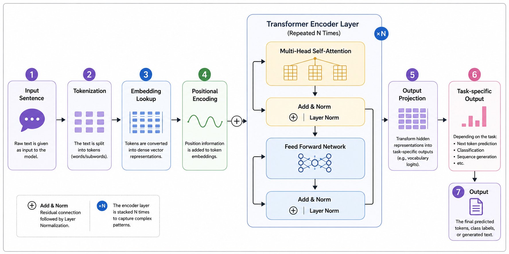 Transformer encoder workflow diagram showing the sequence from input sentence, tokenization, token embeddings, positional encoding, repeated encoder layers with multi-head self-attention and feed forward network, output projection, and task-specific outpu